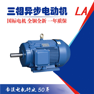 六安江淮電機(jī)國家三級(jí)能效國標(biāo)三相異步電動(dòng)機(jī)